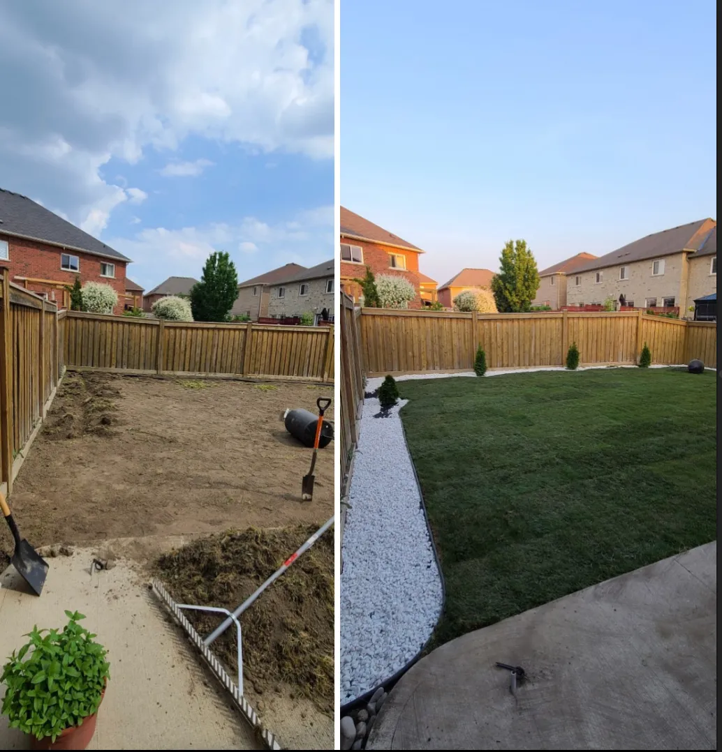 Before and after: bare residential backyard transformed with lush green sod