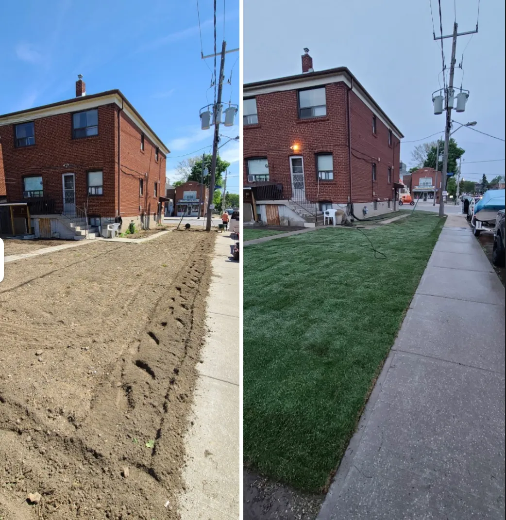 Before and after: urban front yard transformation with fresh green sod installation